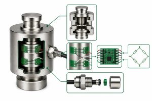 داخل لودسل چه اجزایی قرار دارد؟